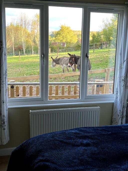 Holiday home The At Meadow Hope *